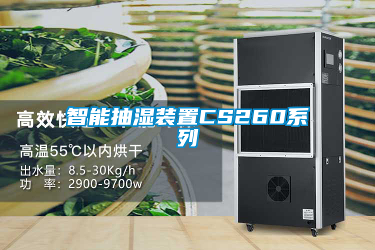 智能抽湿装置CS260系列