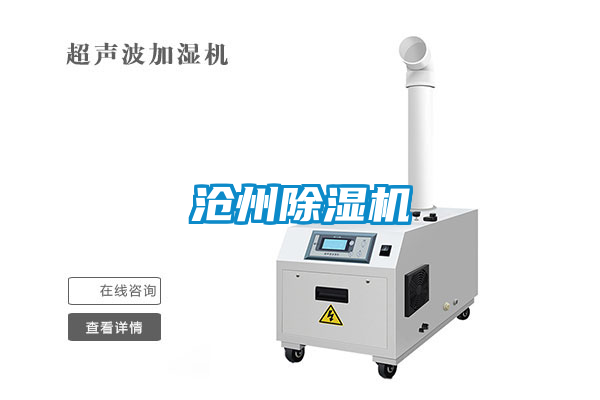 沧州草莓视频APP在线