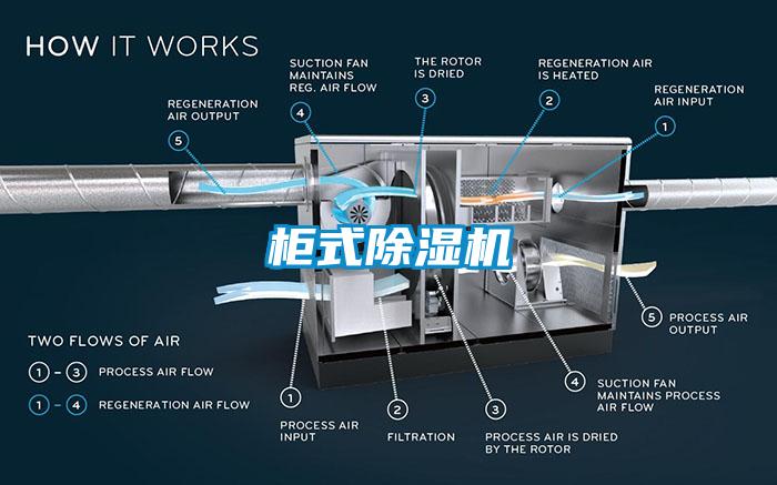 柜式草莓视频APP在线