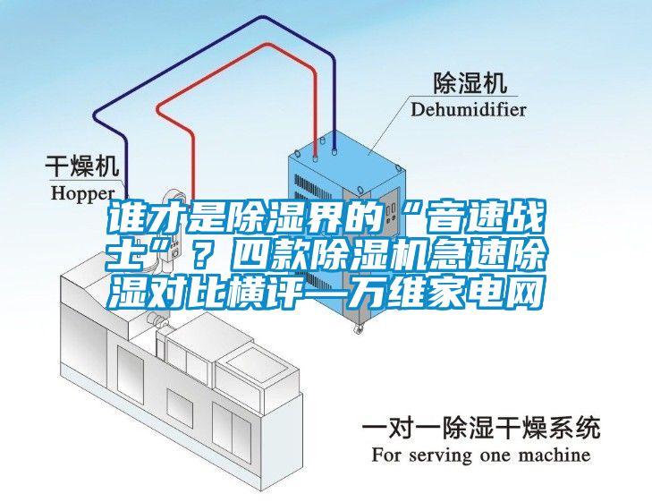 谁才是除湿界的“音速战士”？四款草莓视频APP在线急速除湿对比横评—万维家电网