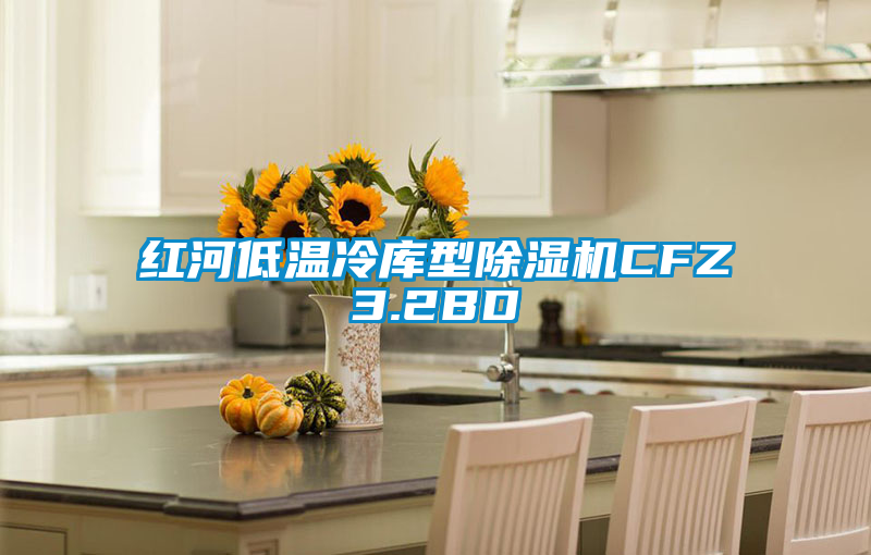 红河低温冷库型草莓视频APP在线CFZ3.2BD