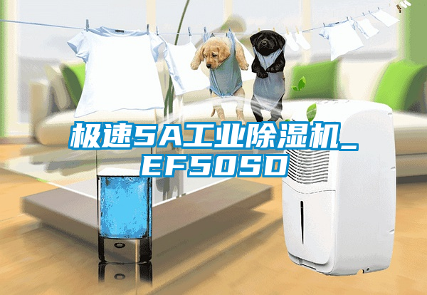 极速5A工业草莓视频APP在线_EF50SD