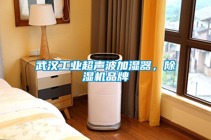 武汉工业超声波加湿器，草莓视频APP在线品牌