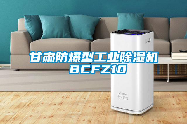 甘肃防爆型工业草莓视频APP在线 BCFZ10