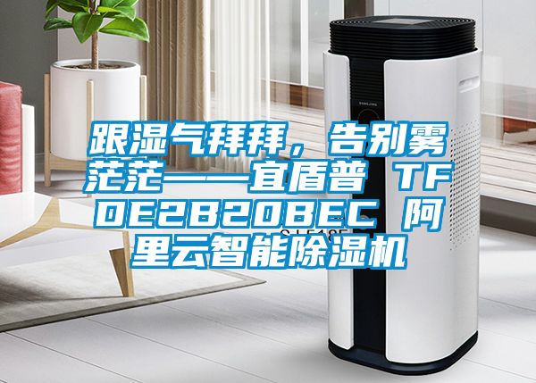 跟湿气拜拜，告别雾茫茫——宜盾普 TFDE2B20BEC 阿里云智能草莓视频APP在线