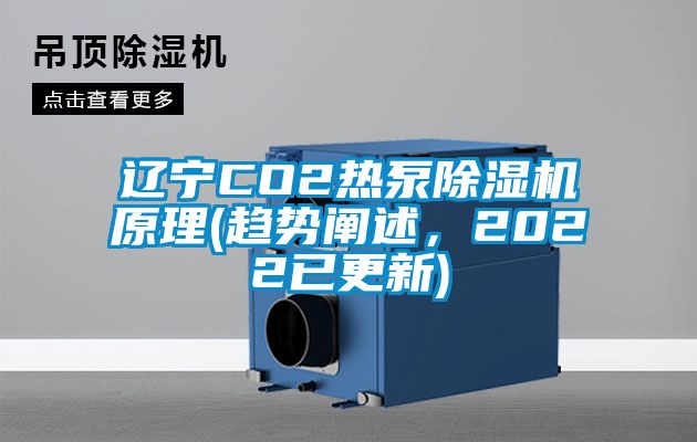 辽宁CO2热泵草莓视频APP在线原理(趋势阐述，2022已更新)