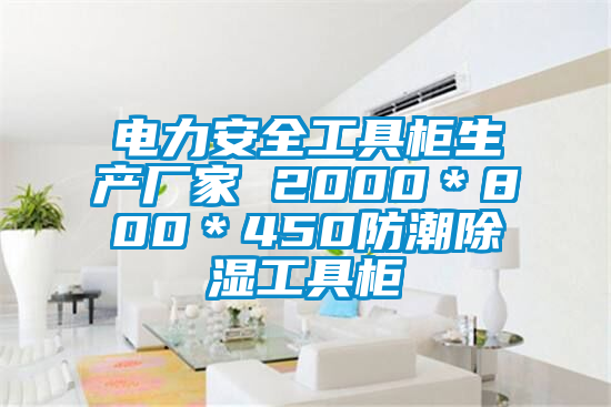 电力安全工具柜生产厂家 2000＊800＊450防潮除湿工具柜