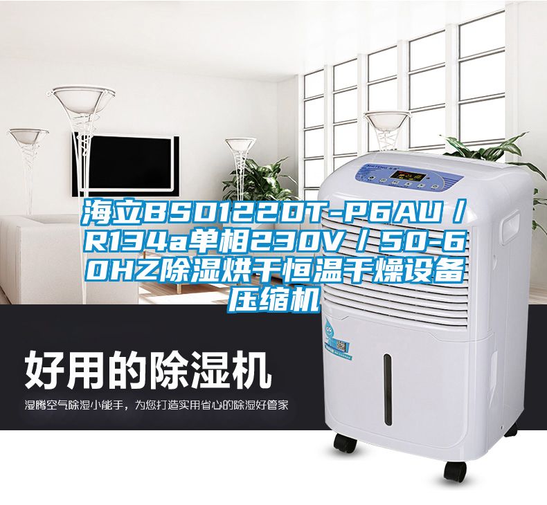 海立BSD122DT-P6AU／R134a单相230V／50-60HZ除湿烘干恒温干燥设备压缩机