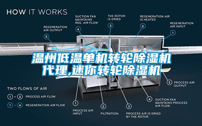 温州低温单机转轮草莓视频APP在线代理,迷你转轮草莓视频APP在线