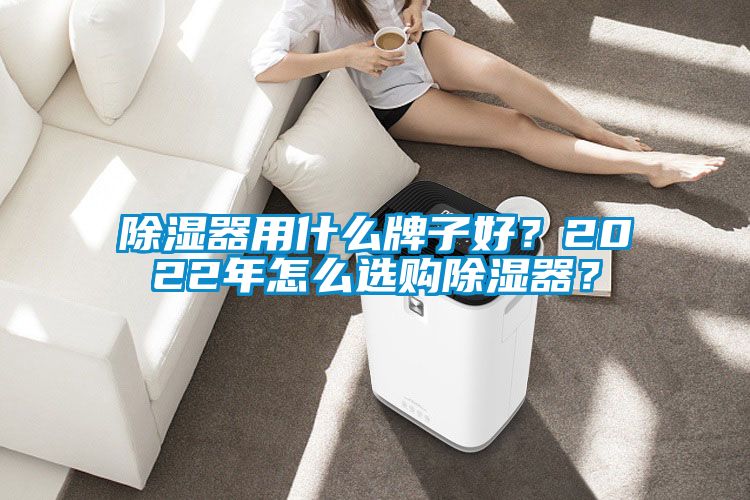 除湿器用什么牌子好？2022年怎么选购除湿器？