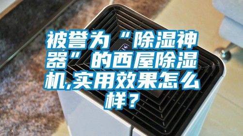 被誉为“除湿神器”的西屋草莓视频APP在线,实用效果怎么样？