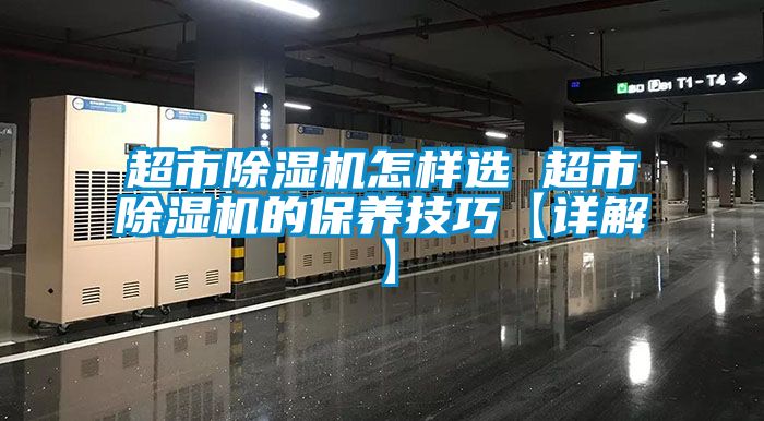 超市草莓视频APP在线怎样选 超市草莓视频APP在线的保养技巧【详解】