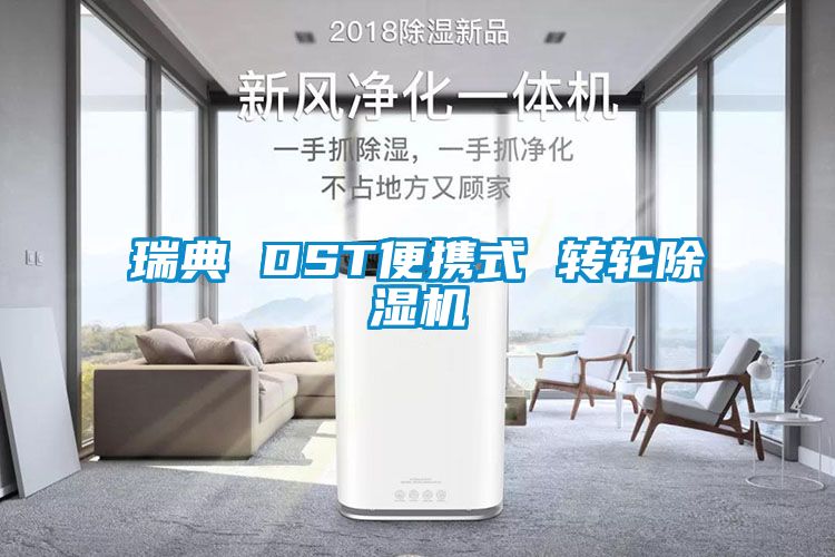 瑞典 DST便携式 转轮草莓视频APP在线