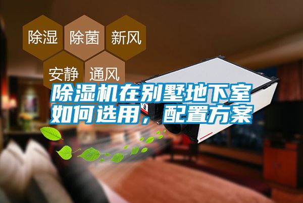 草莓视频APP在线在别墅地下室如何选用，配置方案