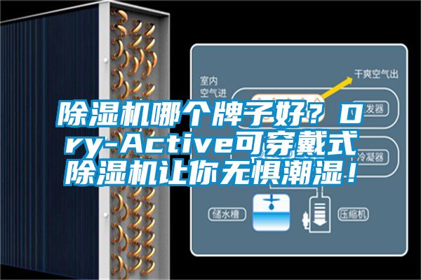 草莓视频APP在线哪个牌子好？Dry-Active可穿戴式草莓视频APP在线让你无惧潮湿！