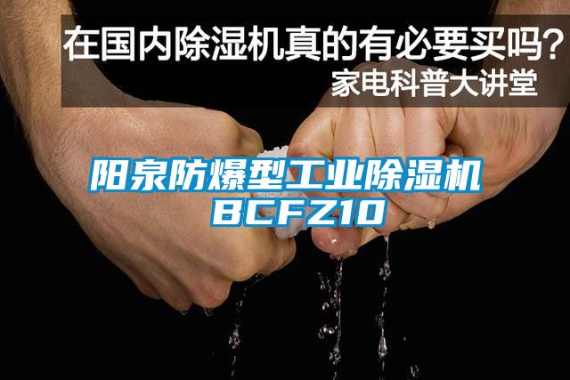 阳泉防爆型工业草莓视频APP在线 BCFZ10