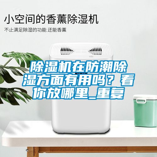 草莓视频APP在线在防潮除湿方面有用吗？看你放哪里_重复