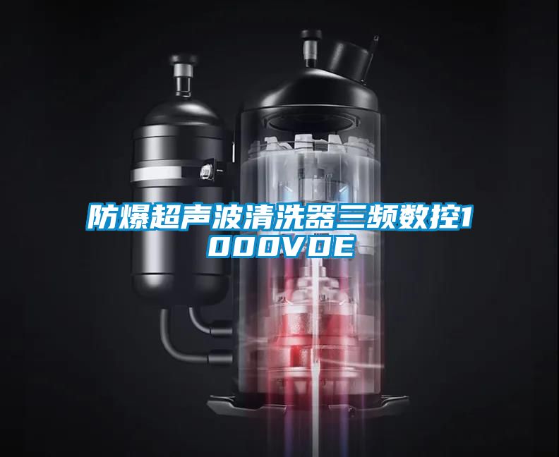 防爆超声波清洗器三频数控1000VDE