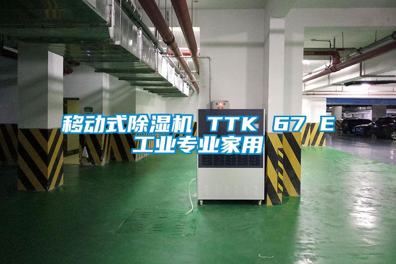 移动式草莓视频APP在线 TTK 67 E工业专业家用