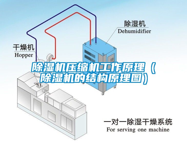 草莓视频APP在线压缩机工作原理（草莓视频APP在线的结构原理图）