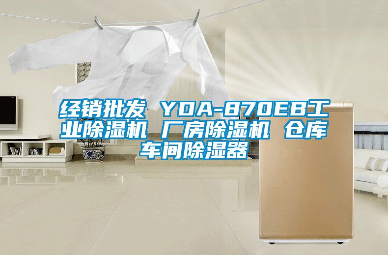 经销批发 YDA-870EB工业草莓视频APP在线 厂房草莓视频APP在线 仓库车间除湿器