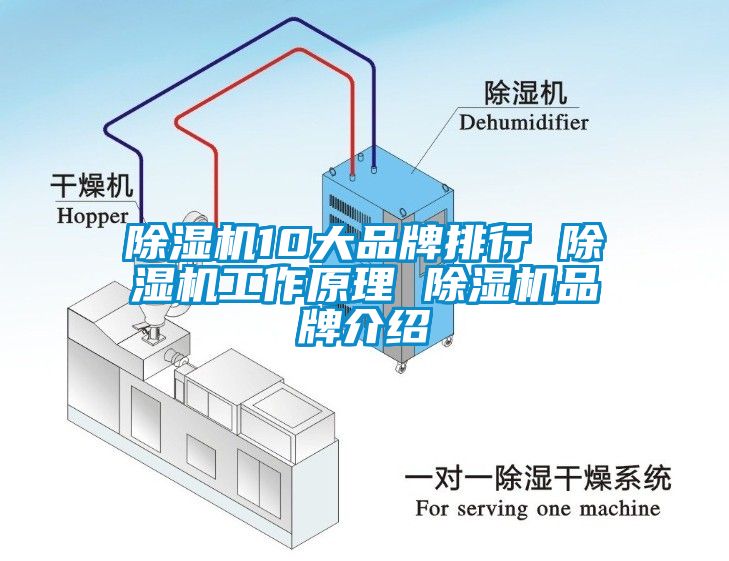 草莓视频APP在线10大品牌排行 草莓视频APP在线工作原理 草莓视频APP在线品牌介绍