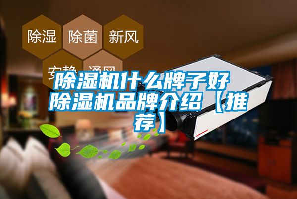 草莓视频APP在线什么牌子好 草莓视频APP在线品牌介绍【推荐】