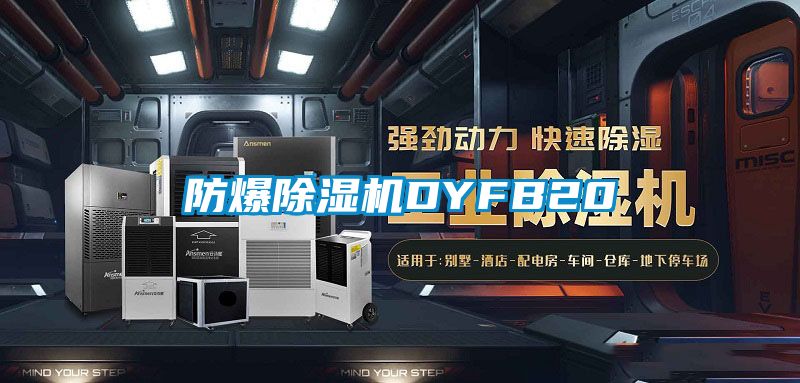 防爆草莓视频APP在线DYFB20