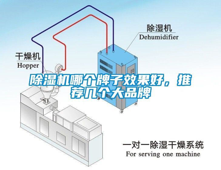 草莓视频APP在线哪个牌子效果好，推荐几个大品牌