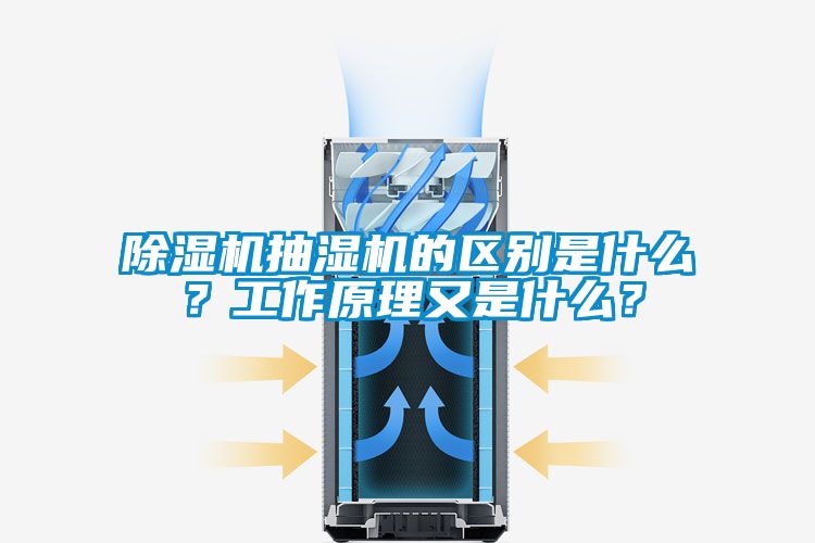 草莓视频APP在线抽湿机的区别是什么？工作原理又是什么？