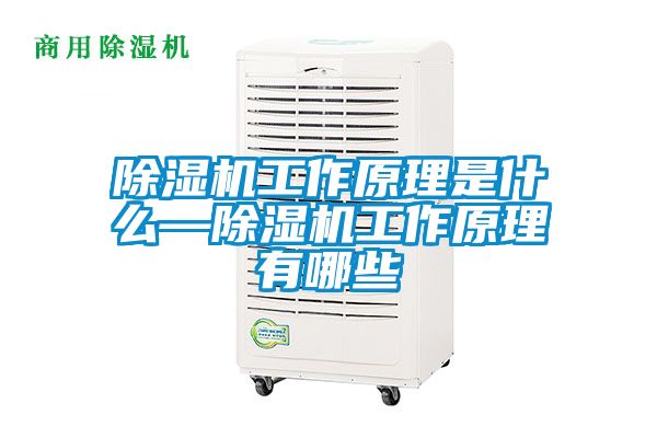 草莓视频APP在线工作原理是什么—草莓视频APP在线工作原理有哪些