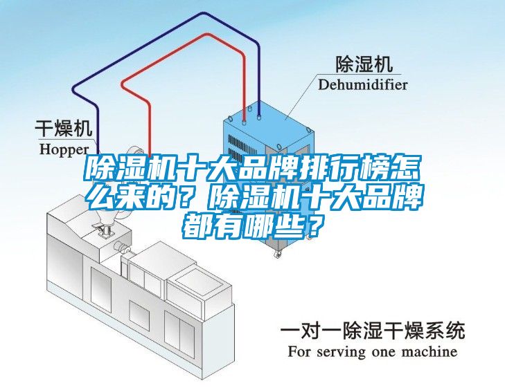 草莓视频APP在线十大品牌排行榜怎么来的？草莓视频APP在线十大品牌都有哪些？