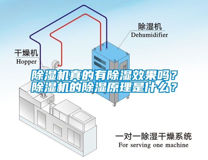 草莓视频APP在线真的有除湿效果吗？草莓视频APP在线的除湿原理是什么？