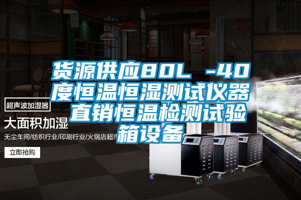 货源供应80L -40度恒温恒湿测试仪器 直销恒温检测试验箱设备