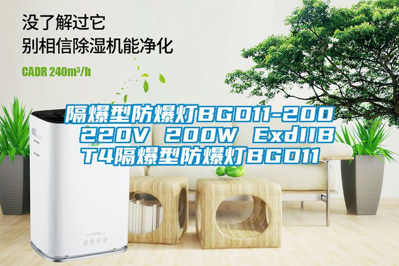 隔爆型防爆灯BGD11-200 220V 200W ExdIIBT4隔爆型防爆灯BGD11