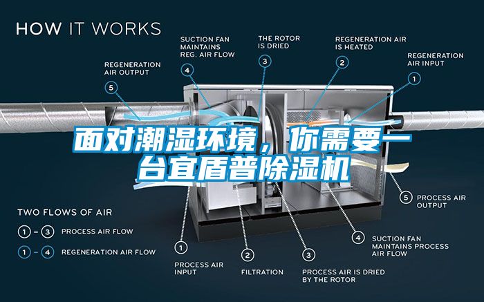 面对潮湿环境，你需要一台宜盾普草莓视频APP在线