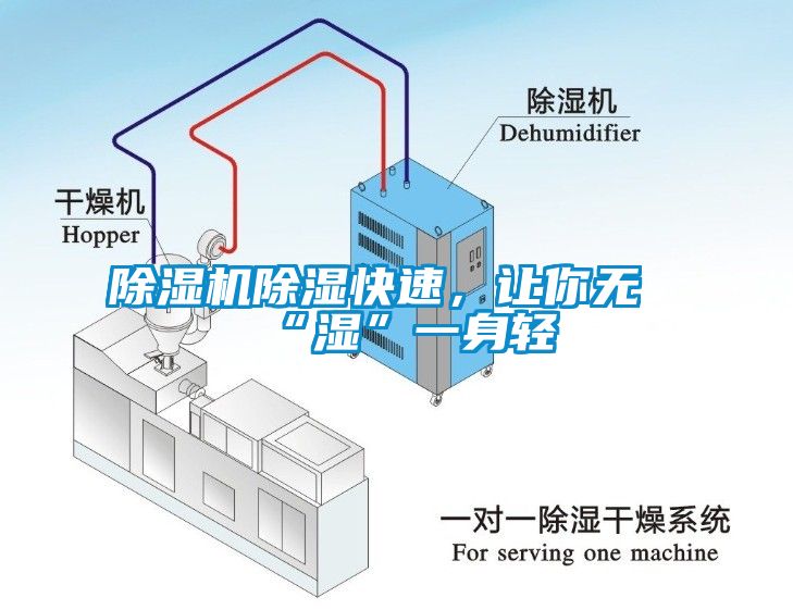 草莓视频APP在线除湿快速，让你无“湿”一身轻