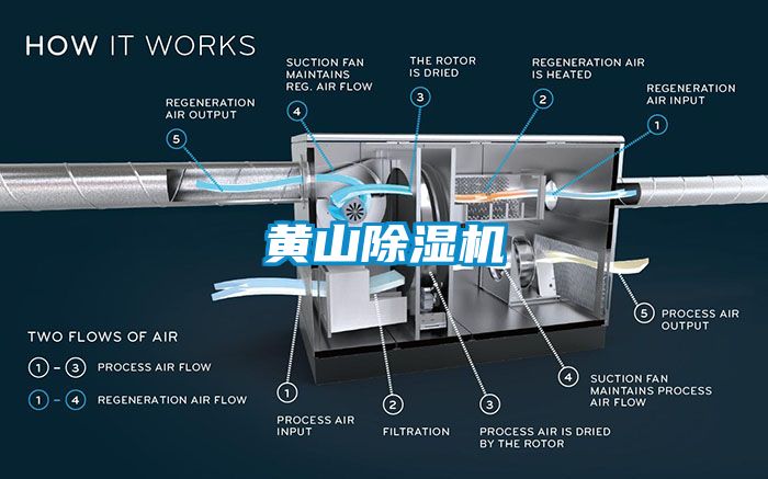 黄山草莓视频APP在线