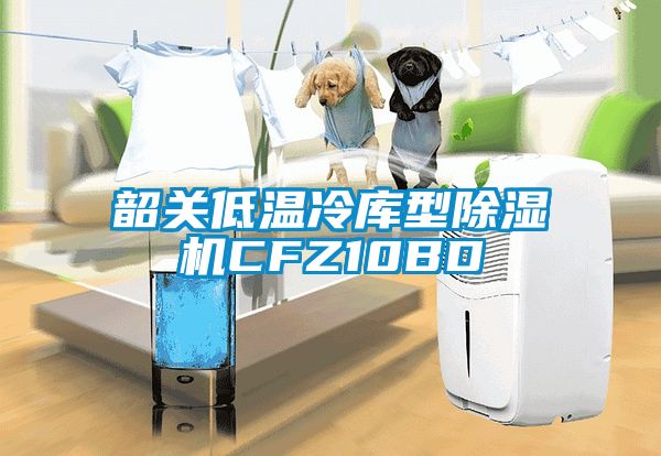 韶关低温冷库型草莓视频APP在线CFZ10BD